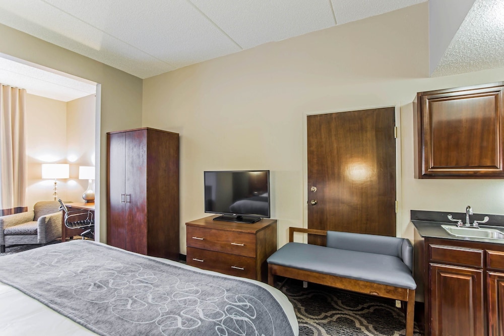 Suite, 1 King Bed with Sofa bed, Accessible, Non Smoking - Photo 3