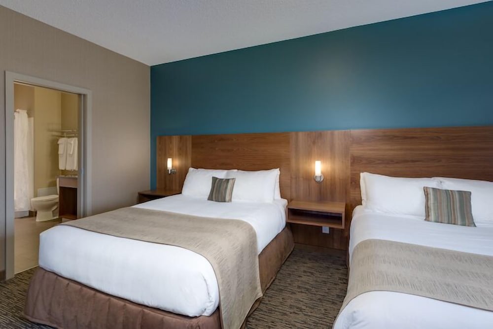 Elite Studio Suite, 2 Bedrooms, Kitchenette photo 3