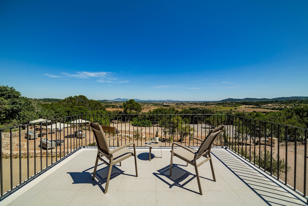 Suite, Mountain View