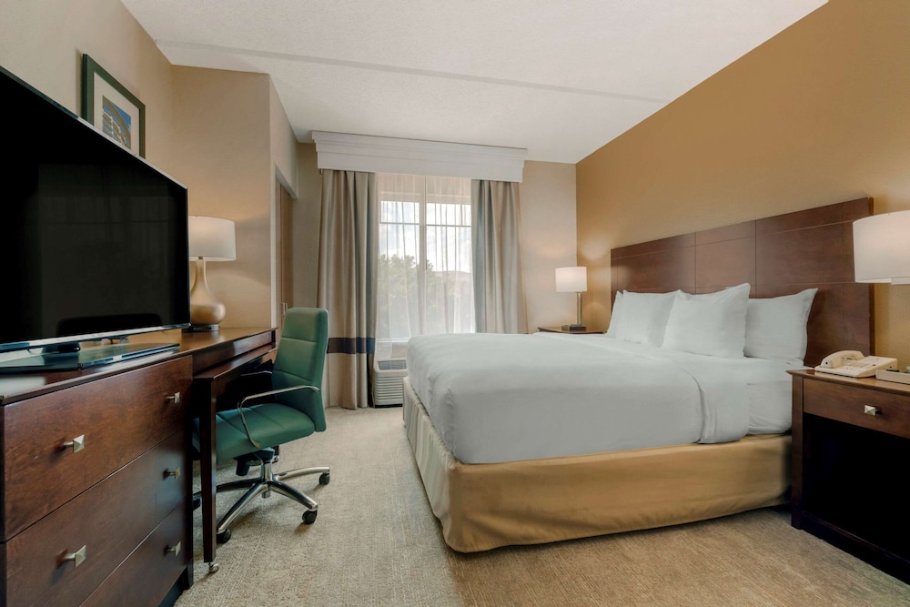 Room, 1 King Bed with Sofa bed, Non Smoking photo 2