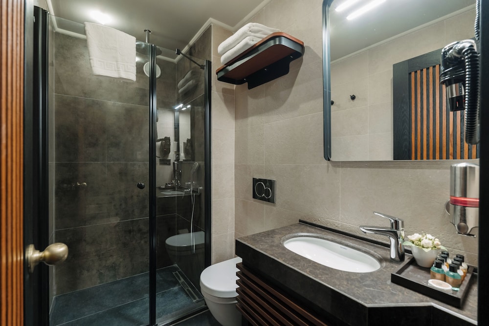 Standard Double or Twin Room photo 2