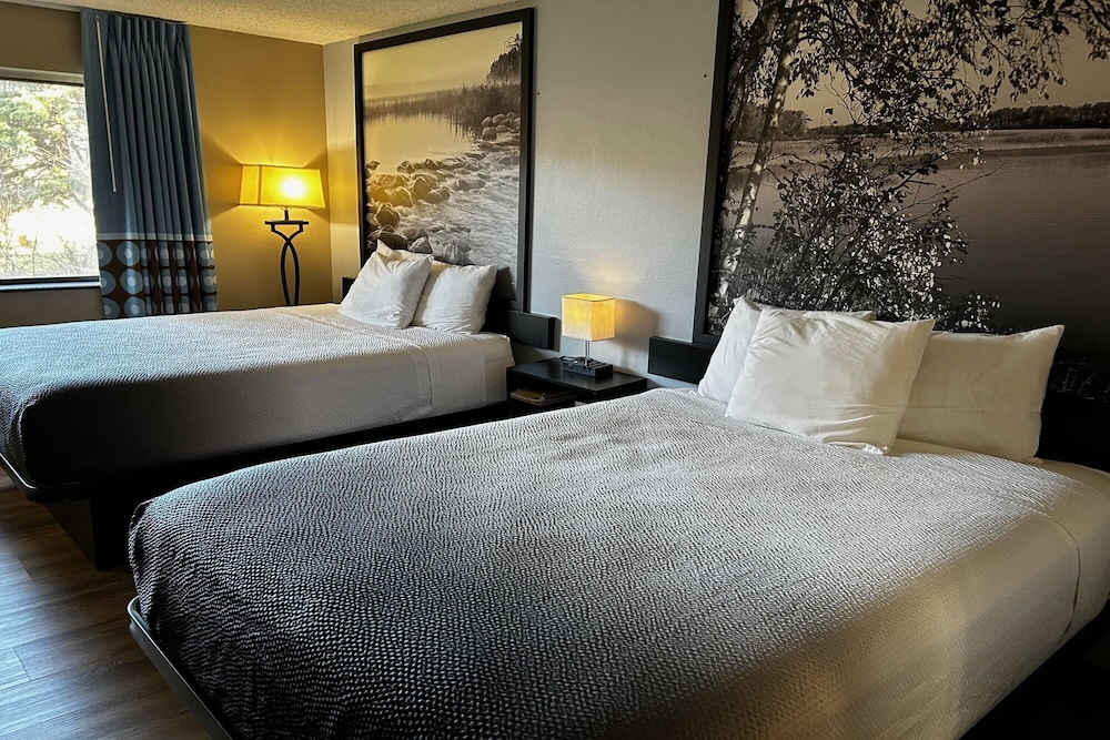 Studio Suite, 2 Double Beds, Non Smoking - Photo 1