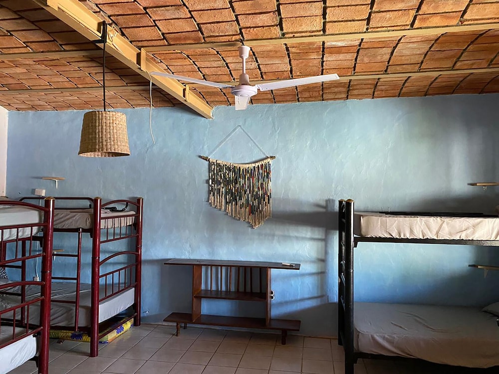 Basic Shared Dormitory photo 1