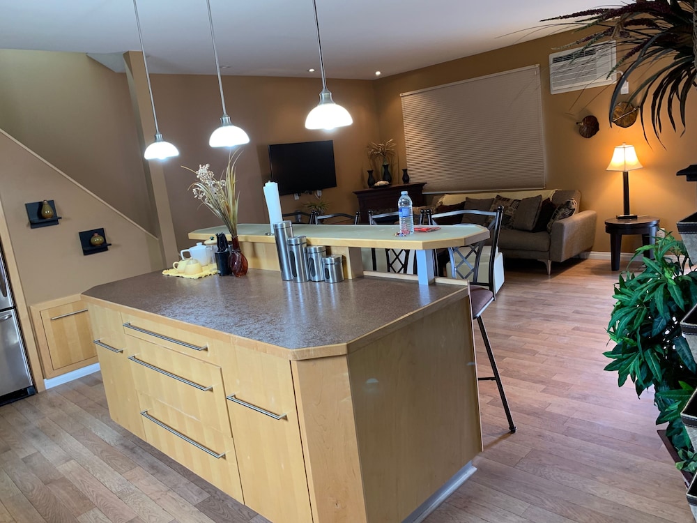 Executive Suite (Not pet friendly) photo 3