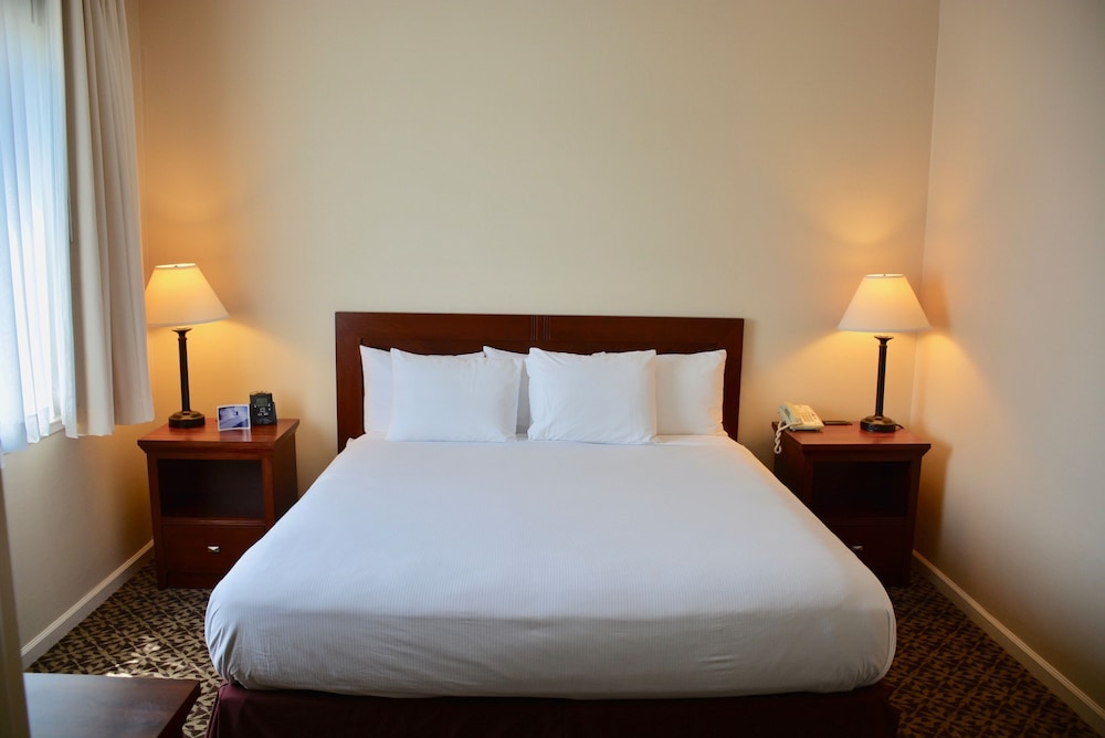 Suite, 1 Bedroom, Non-Smoking, Allergy Friendly