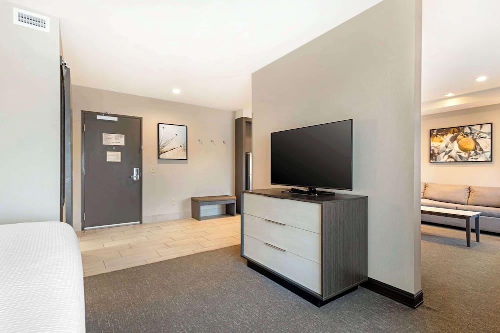 Suite, 1 King Bed, Accessible, Kitchenette (With Sofabed) - Photo 2
