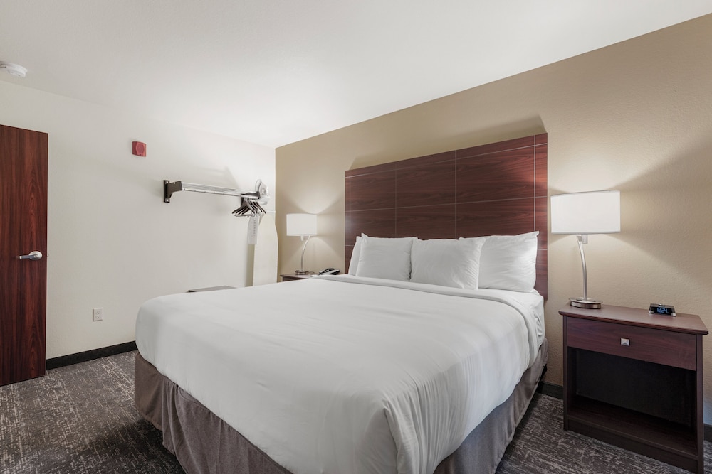Suite, 1 King Bed with Sofa bed, Non Smoking (with Audible/Visual Alert) - Photo 4