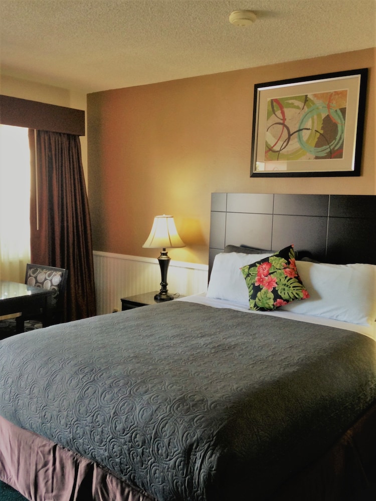 Traditional Room, 1 Queen Bed photo 3