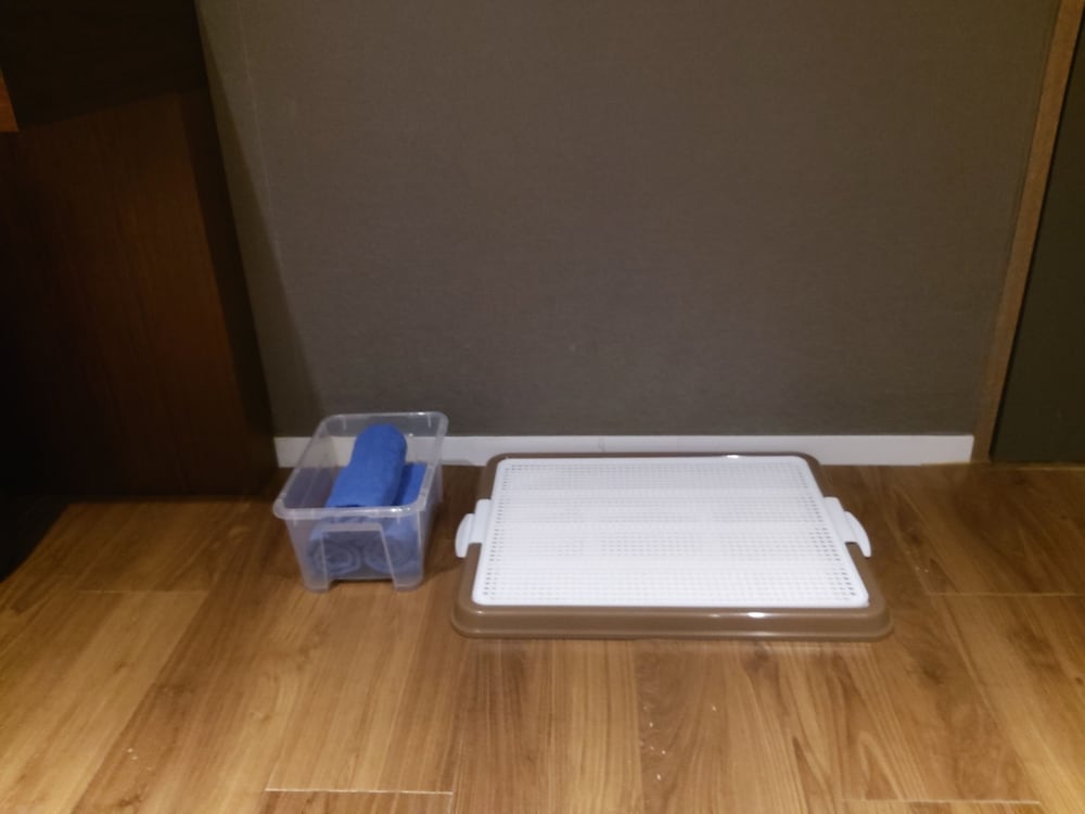 Pet Room Double Bed photo 2