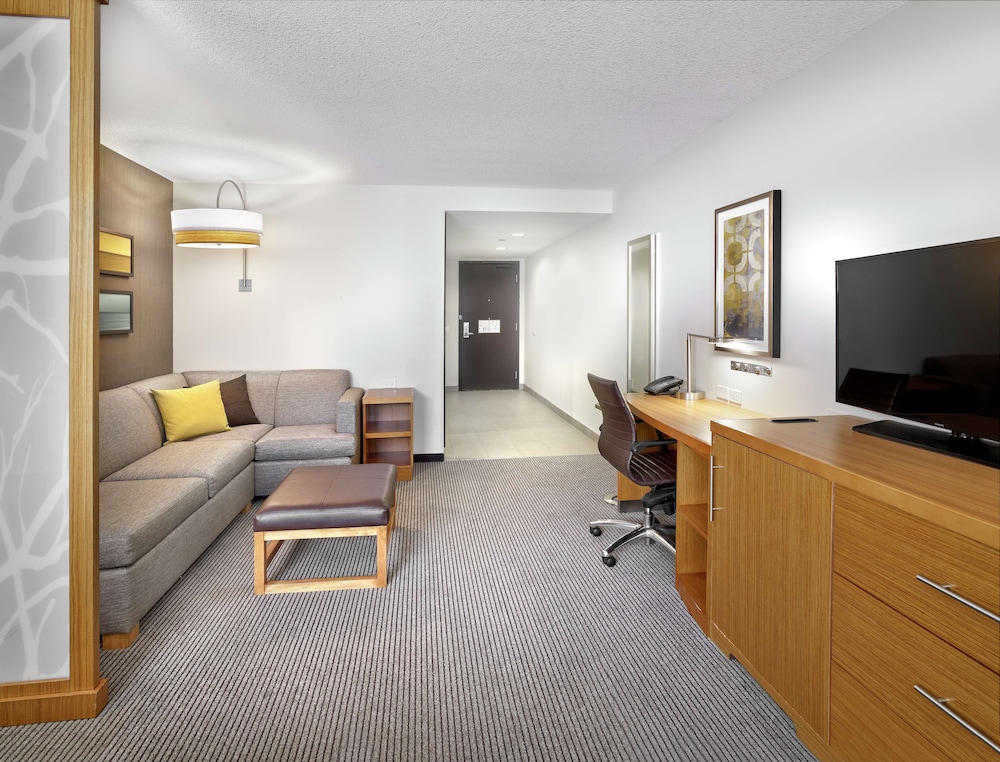 Room, 1 King Bed, Accessible (Roll-In Shower)