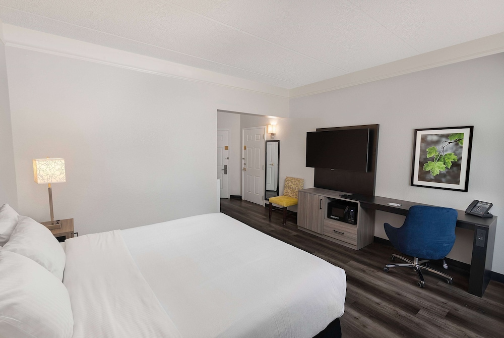 Room, 1 King Bed, Non Smoking - Photo 4
