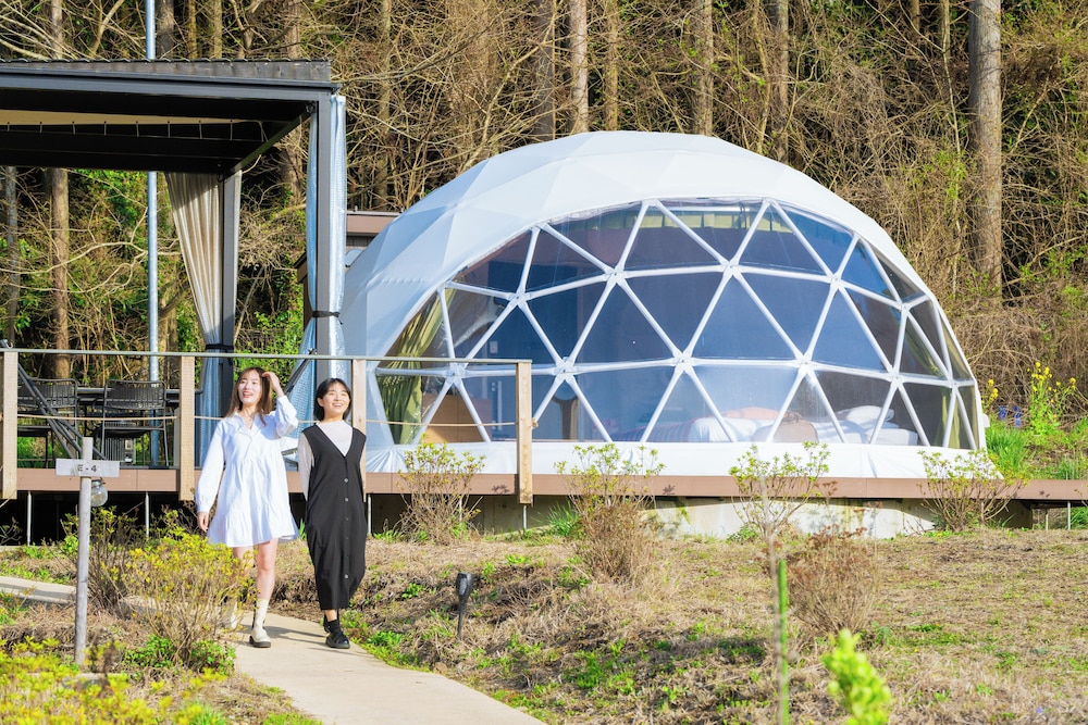 GLAMPING DOME photo 1