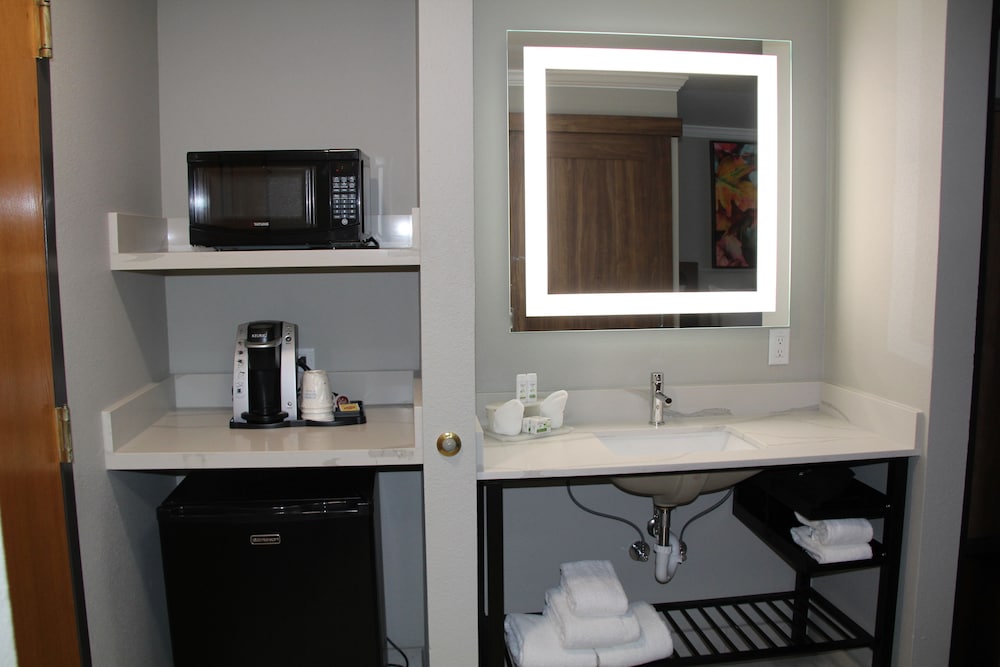 Deluxe Room, 1 Queen Bed, Non Smoking (Efficiency) - Photo 10