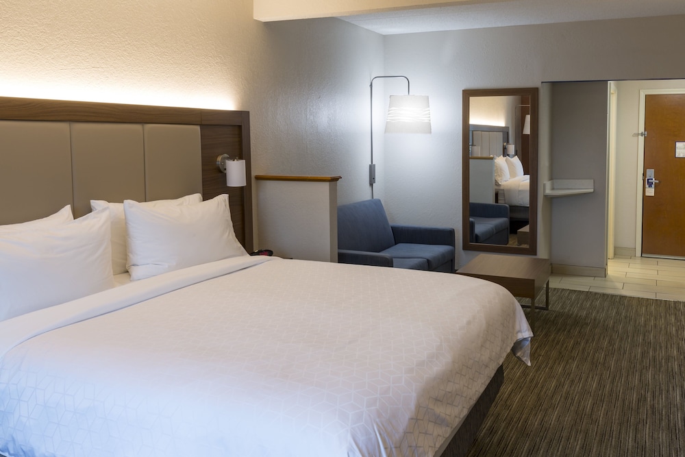 Suite, 1 King Bed - Photo 1