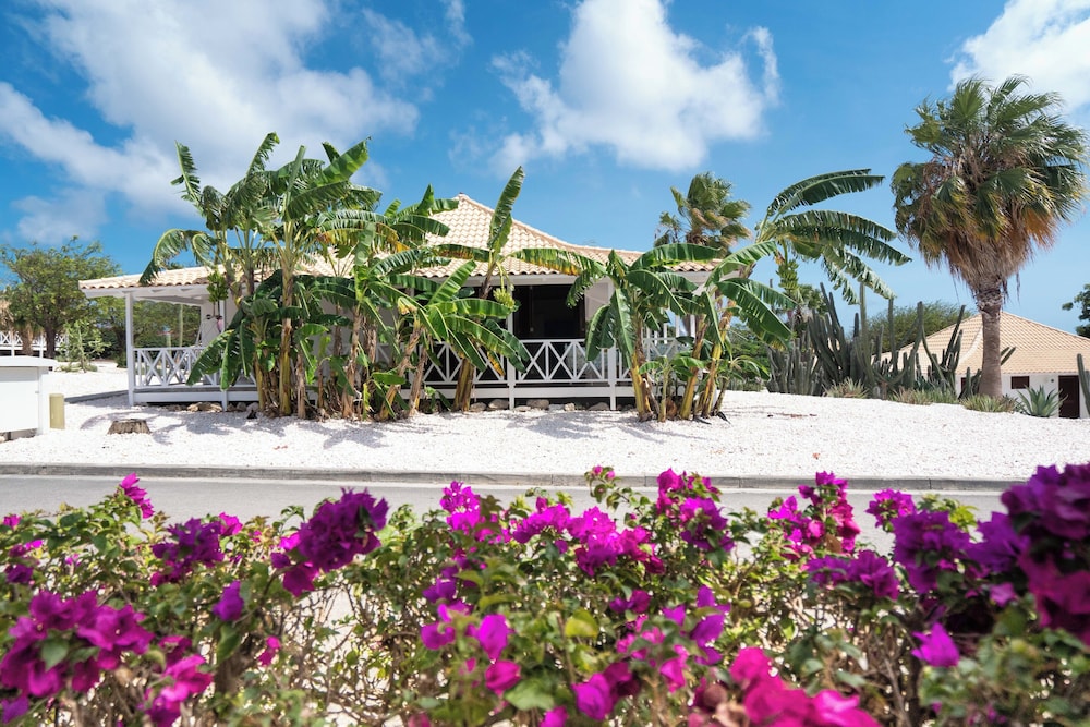 Villa, 3 Bedrooms, Garden View - Photo 9