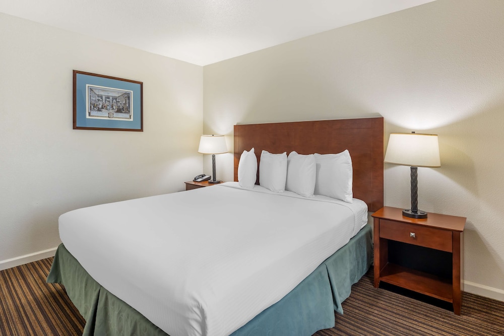 Suite, 1 King Bed, Non Smoking, Balcony photo 2