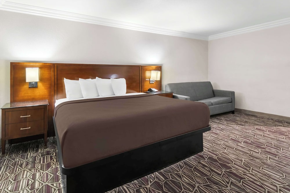 Standard Room, 1 King Bed, Accessible, Refrigerator & Microwave (with Sofabed) photo 3