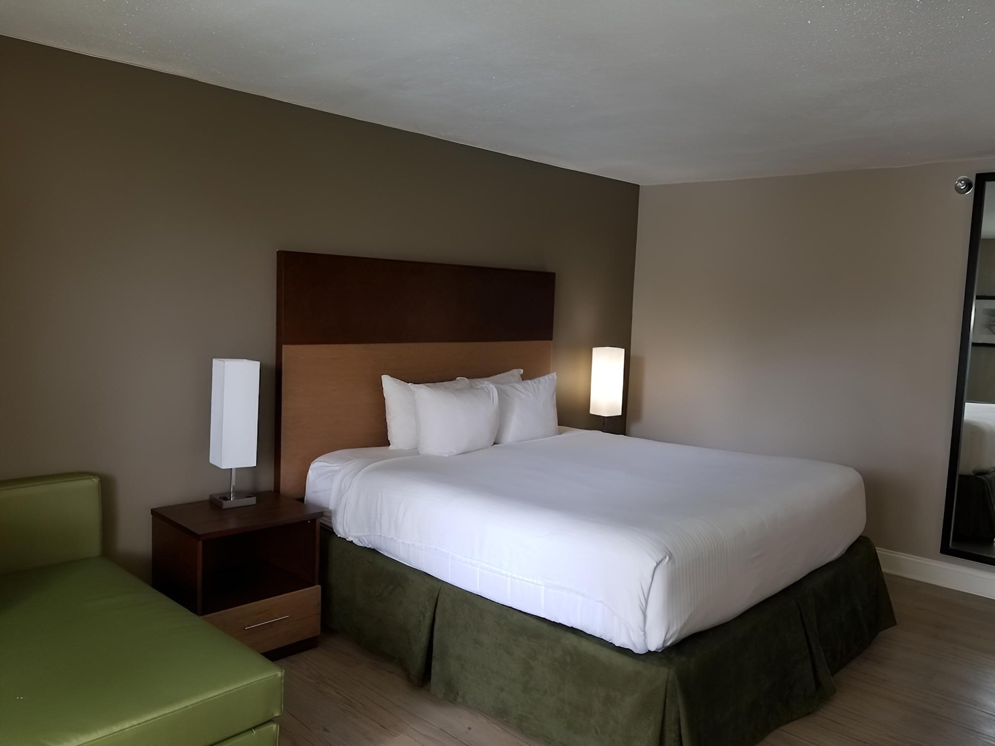 Suite, 1 King Bed, Non Smoking photo 1