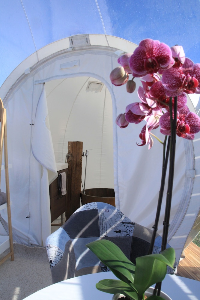 Tent, Garden View photo 2