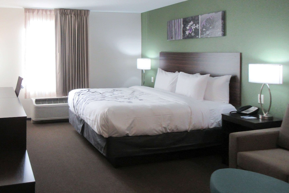 Suite, 1 King Bed, Accessible, Non Smoking - Photo 3