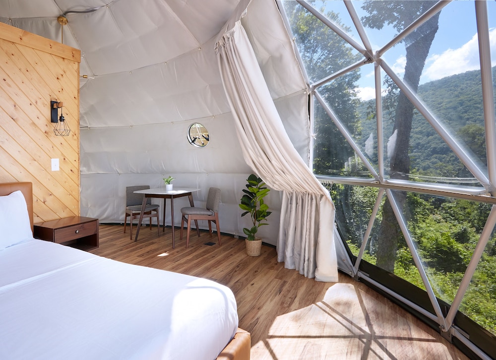 Luxe Dome + Hot Tub + Mountain View photo 1
