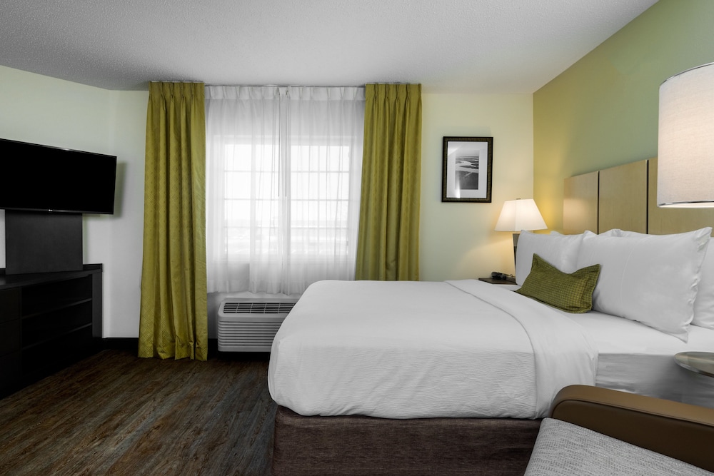 Studio Suite, 1 Queen Bed - Photo 1