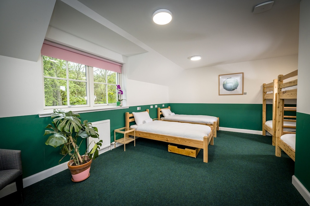 Family Room (Bunk Six) photo 3