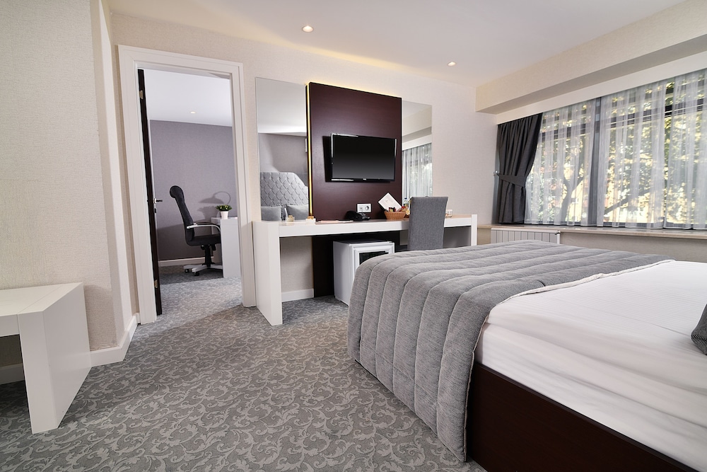 Suite, 1 Queen Bed photo 3
