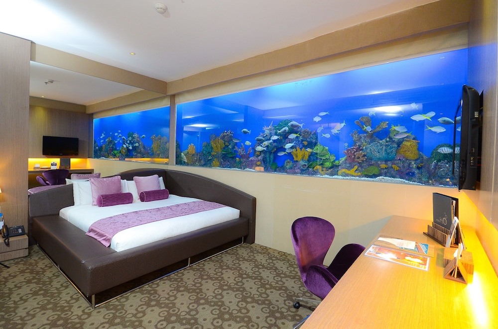 Aqua Room - Photo 3