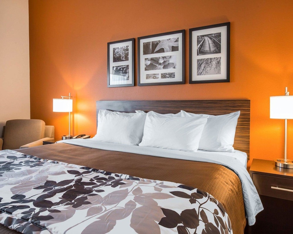 Room, 1 King Bed, Accessible, Non Smoking photo 3