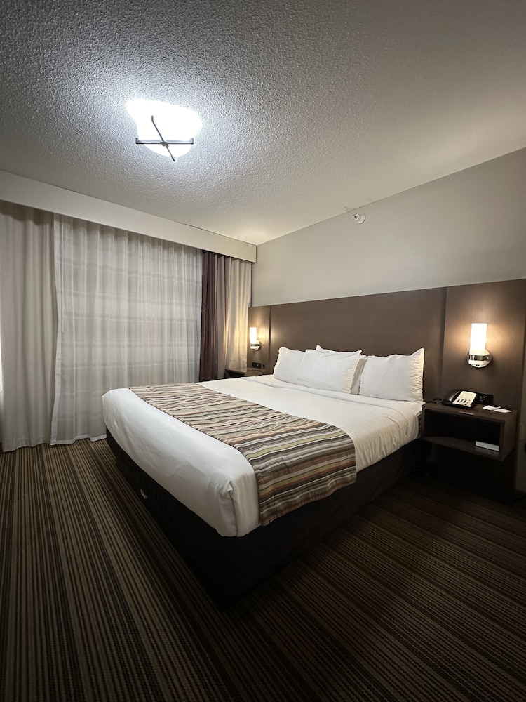 Studio Suite, 1 King Bed, Non Smoking - Photo 3