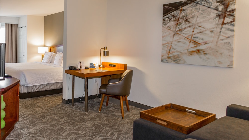 SpringHill Suites by Marriott Tampa Westshore Airport, Fotografia 4