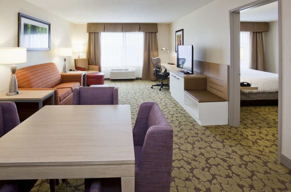 Suite, 1 King Bed, Accessible - Photo 1