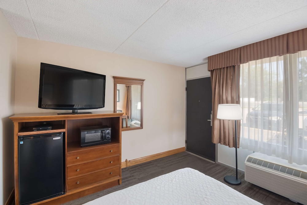 Standard Room, 1 Double Bed, Non Smoking, Refrigerator & Microwave (Pet Friendly) - Photo 3