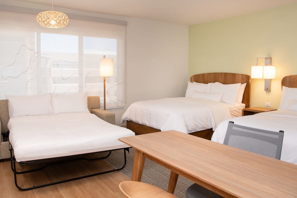 Studio Suite, Multiple Beds (Mobility Accessible, Roll-In Shower) - Photo 1