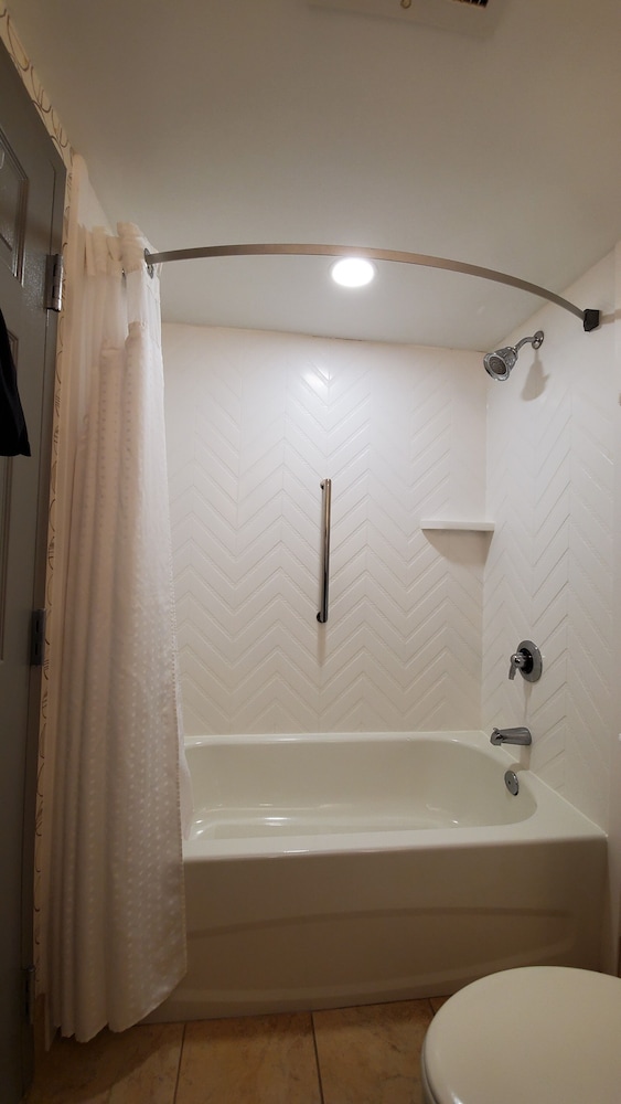 Suite, 1 Bedroom - Photo 5