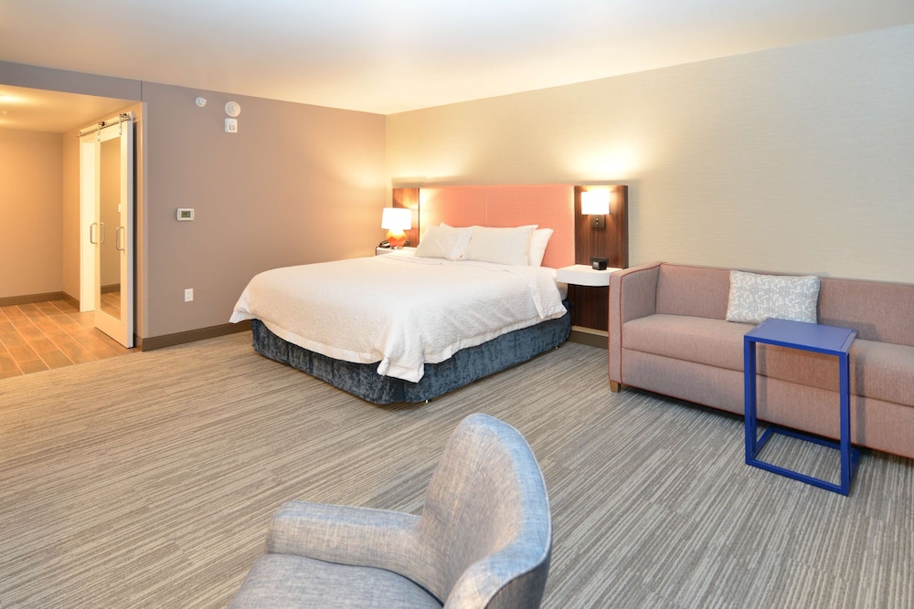 Room, 1 King Bed, Accessible (Roll-In Shower) photo 1