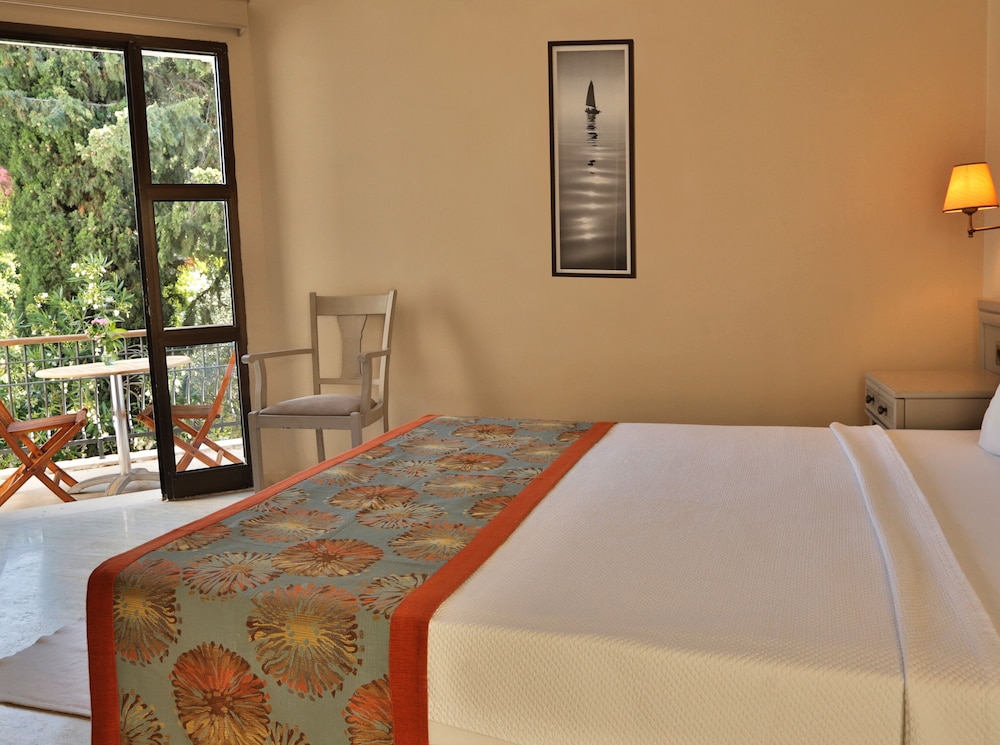 Standard Double or Twin Room photo 1
