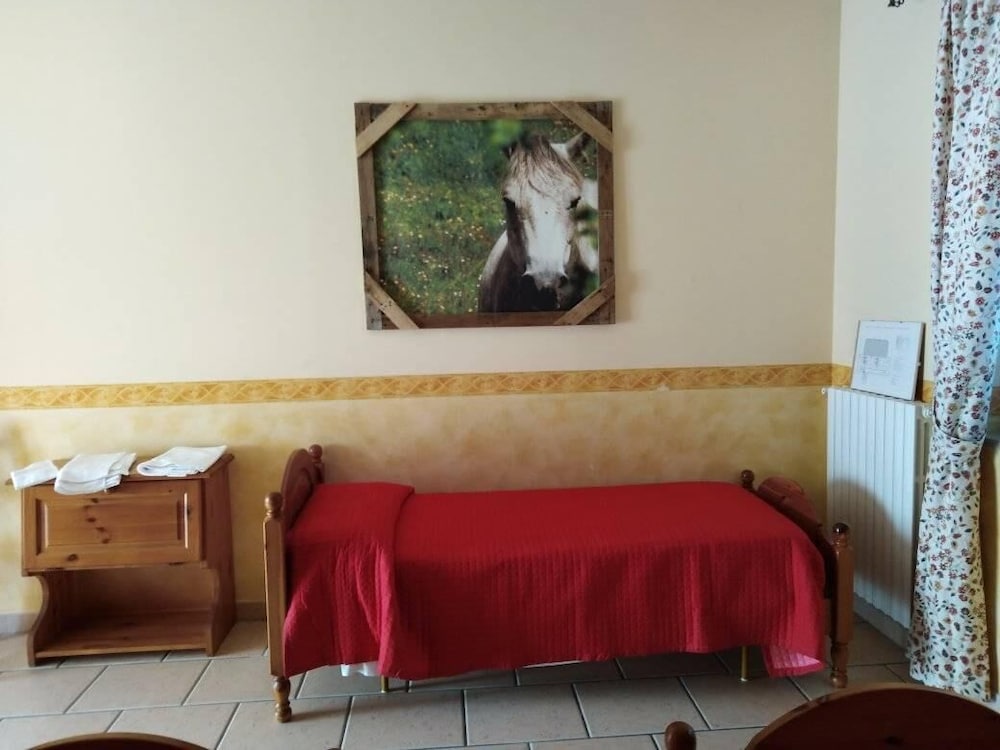 Single Room photo 1