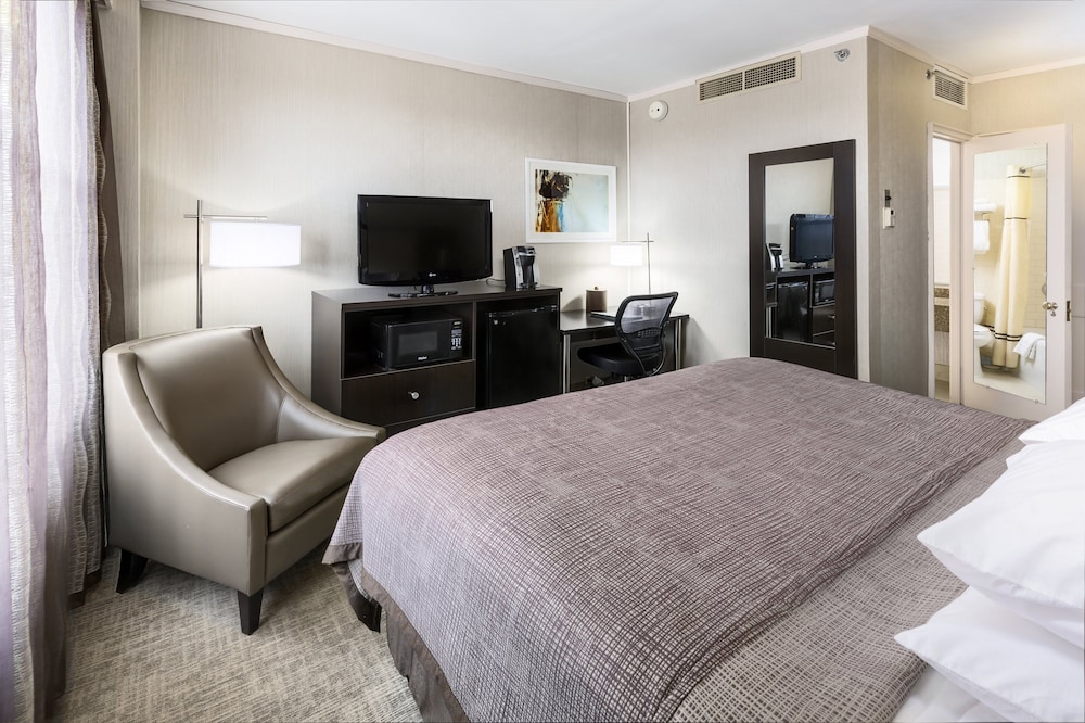 Standard Room, 1 King Bed, City View