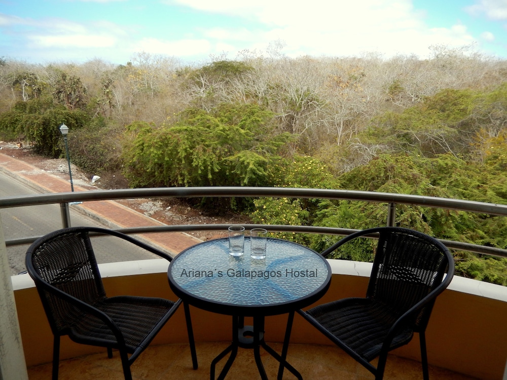 Panoramic Double Room, 1 Queen Bed, Balcony, Park View photo 2