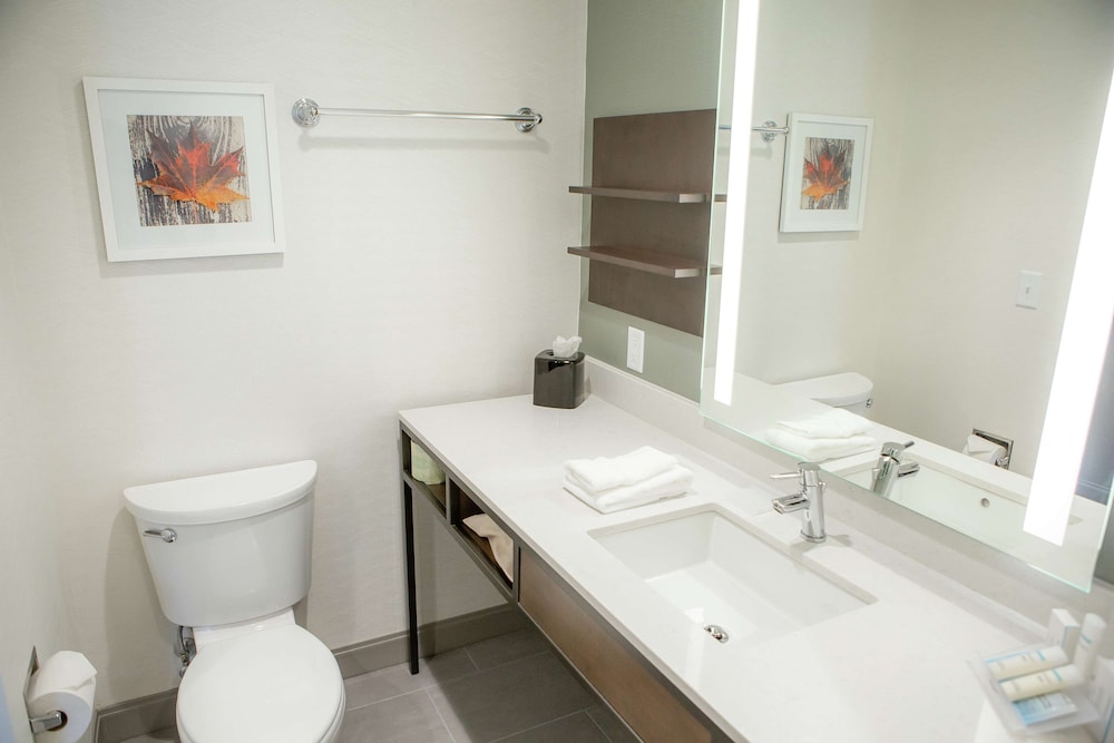 Room, 1 King Bed, Accessible (Hearing) - Photo 3