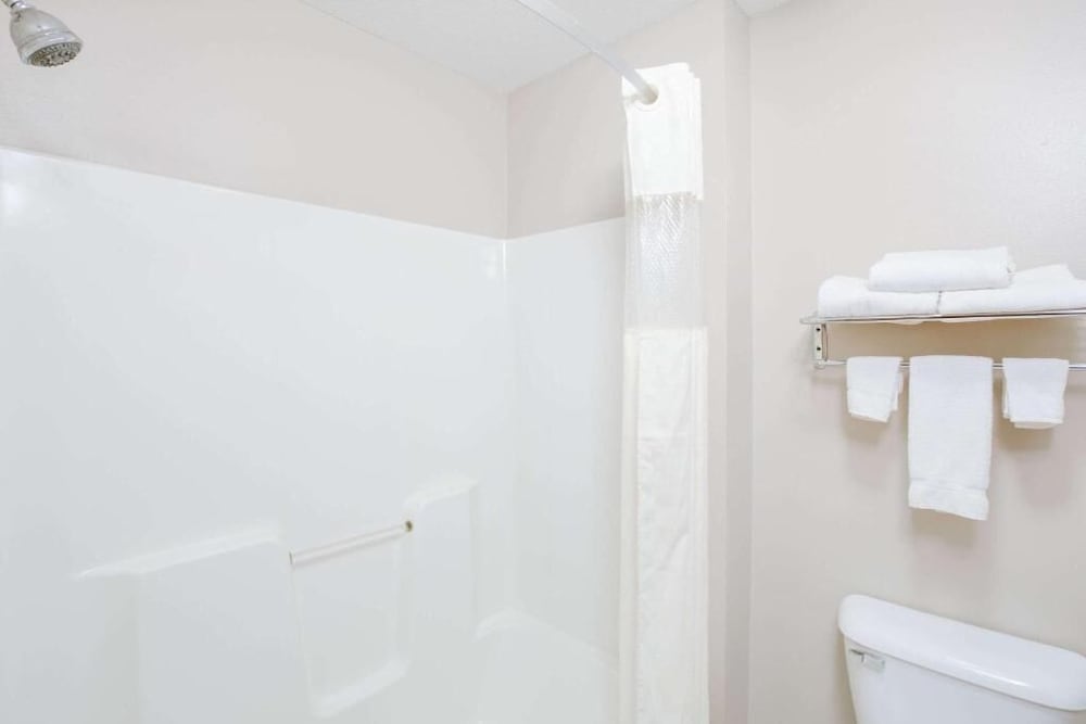 Room, 1 King Bed, Non Smoking (Dog-Friendly) - Photo 4