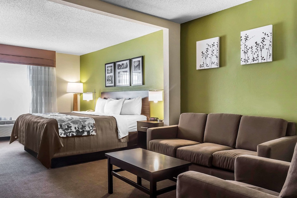 Suite, 1 King Bed with Sofa bed, Accessible, Non Smoking - Photo 3