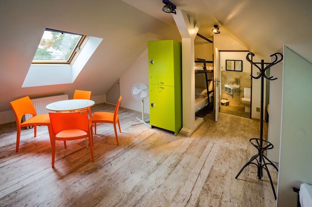 Comfort Shared Dormitory photo 1