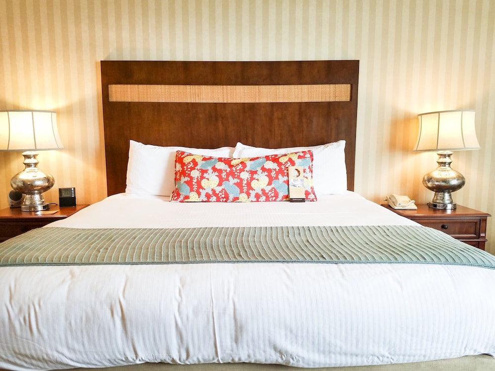 Room, 1 King Bed (Bayfront Corpus Christi) - Photo 3