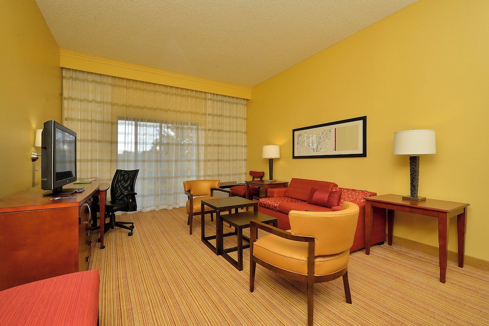 Suite, 1 King Bed with Sofa bed photo 1