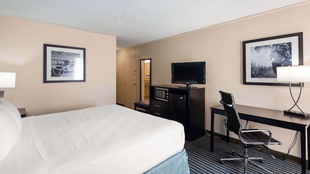 Standard Room, 1 King Bed, Accessible, Refrigerator & Microwave (with Single Sofabed) - Photo 3
