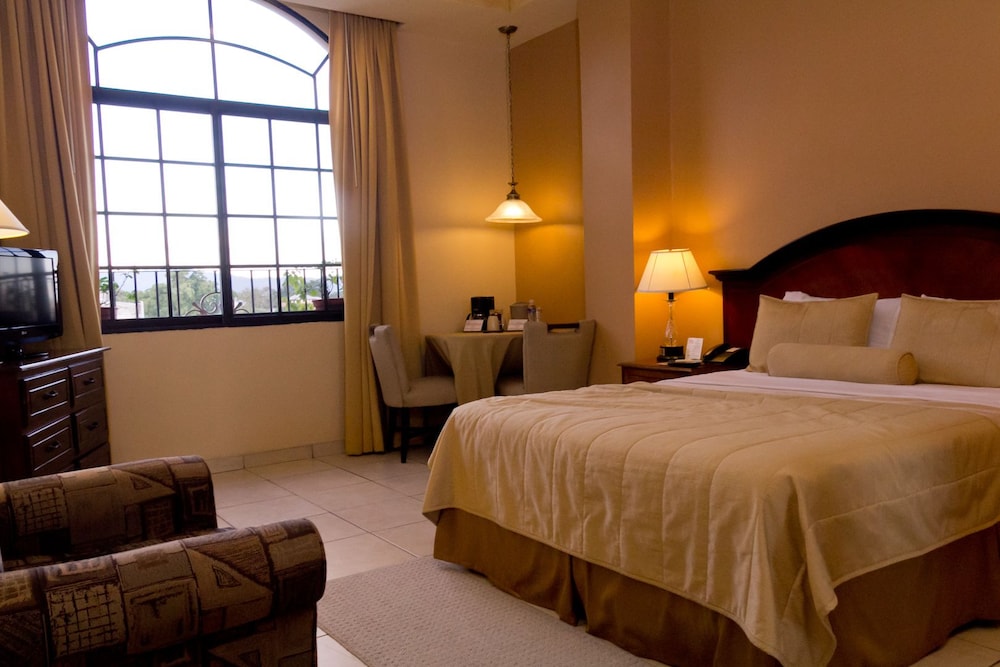 Standard Single Room, 1 Queen Bed photo 2