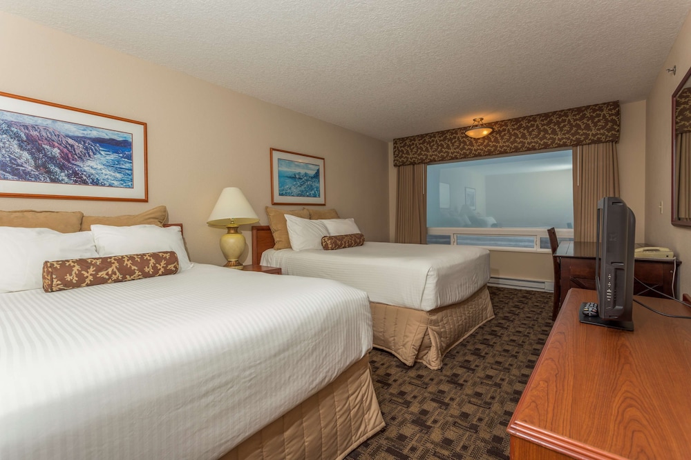 Room, Ocean View (Not Pet Friendly) photo 1